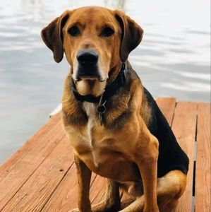 Meet your Posher, Jeremy